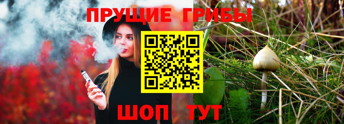 Галлюциногенные грибы MAGIC MUSHROOMS  Вход с VPN  где купить наркоту  Саянск 